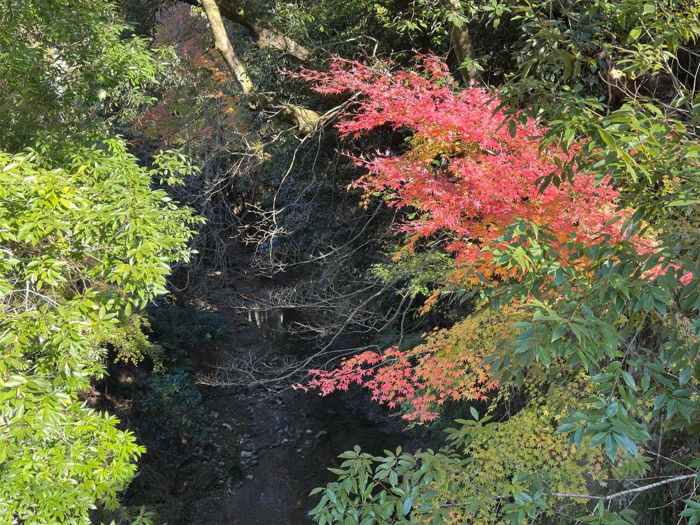 梨沢渓谷