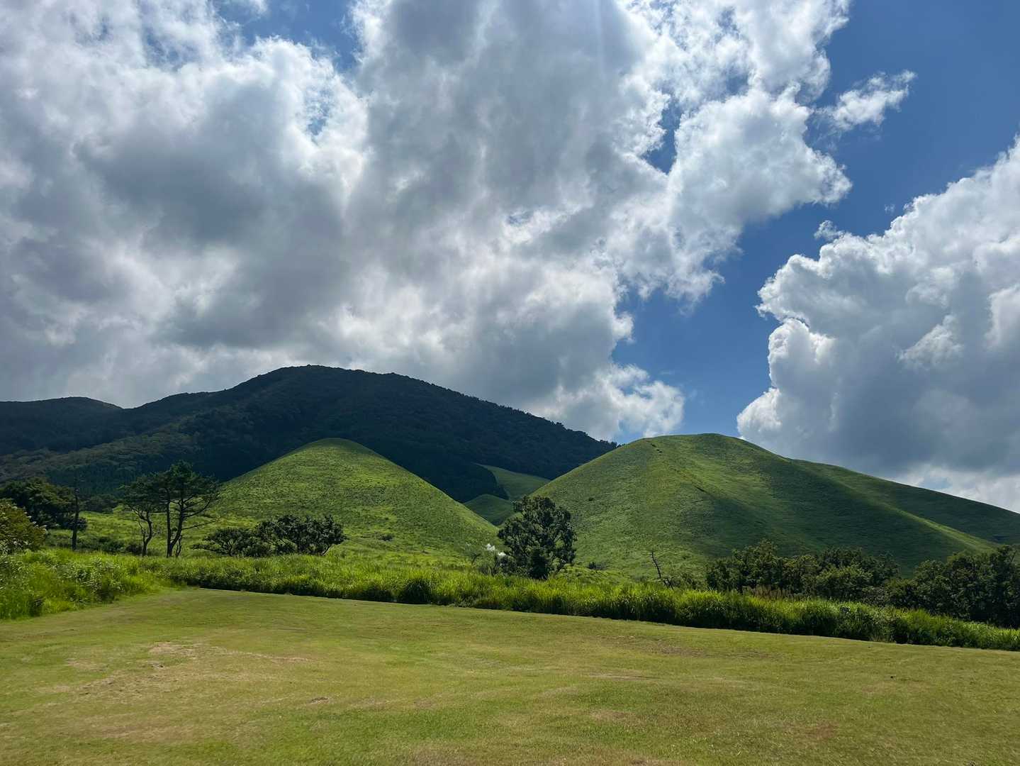 きっとあれがこにぎり&おにぎり⛰️