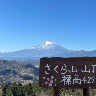 さくら山🌸429㍍