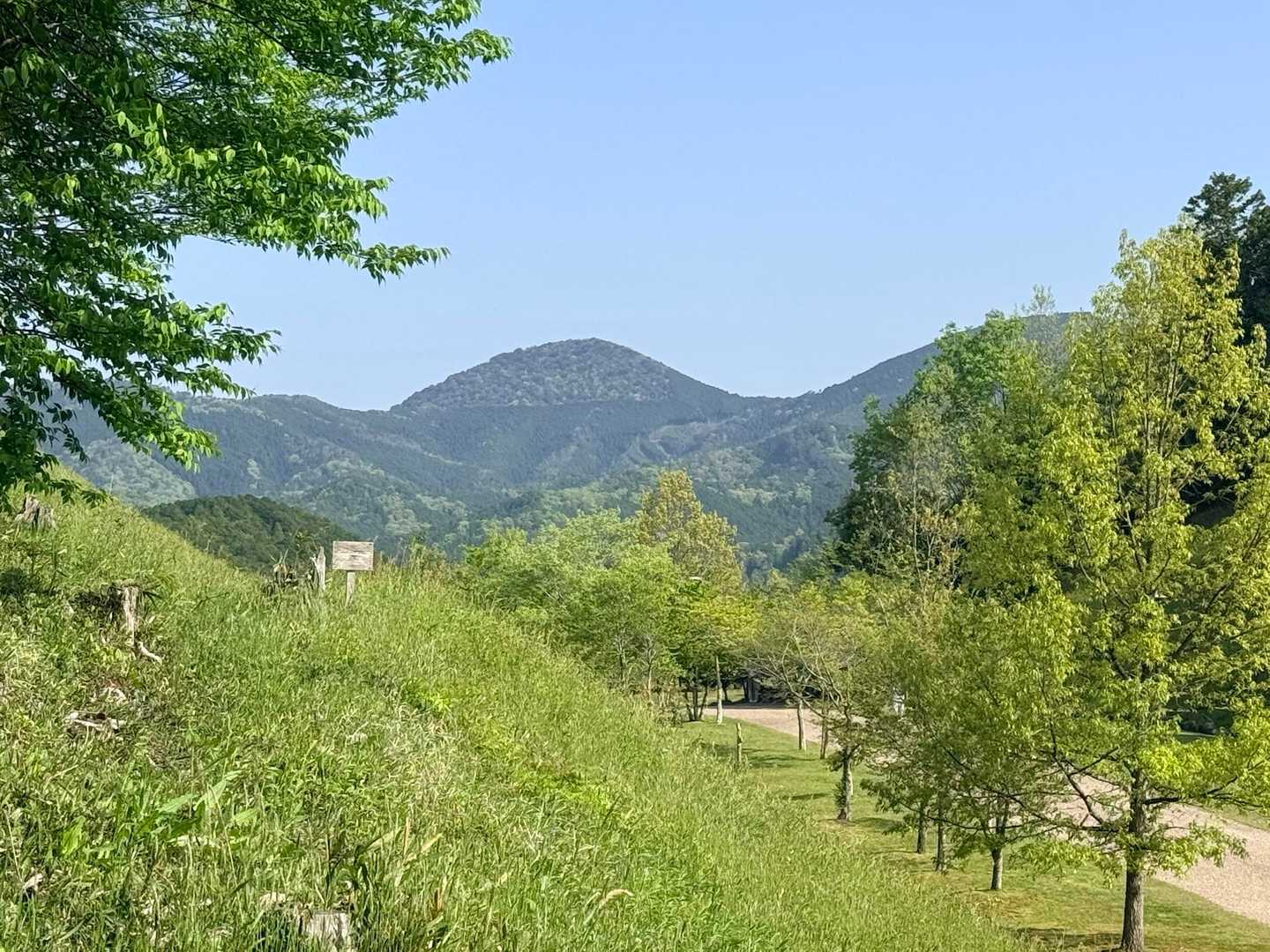 登山口から見えるあのぽっこりのお山はどちら山？