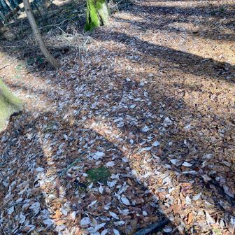 仲良くツーショットの影👭