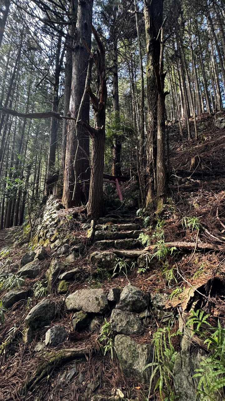 奥多摩、石尾根テン泊縦走（鴨沢〜七ツ石山〜鷹ノ巣山〜六ツ石山〜奥多摩駅） の写真 103