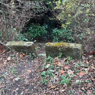 こちらから降りてみよー！