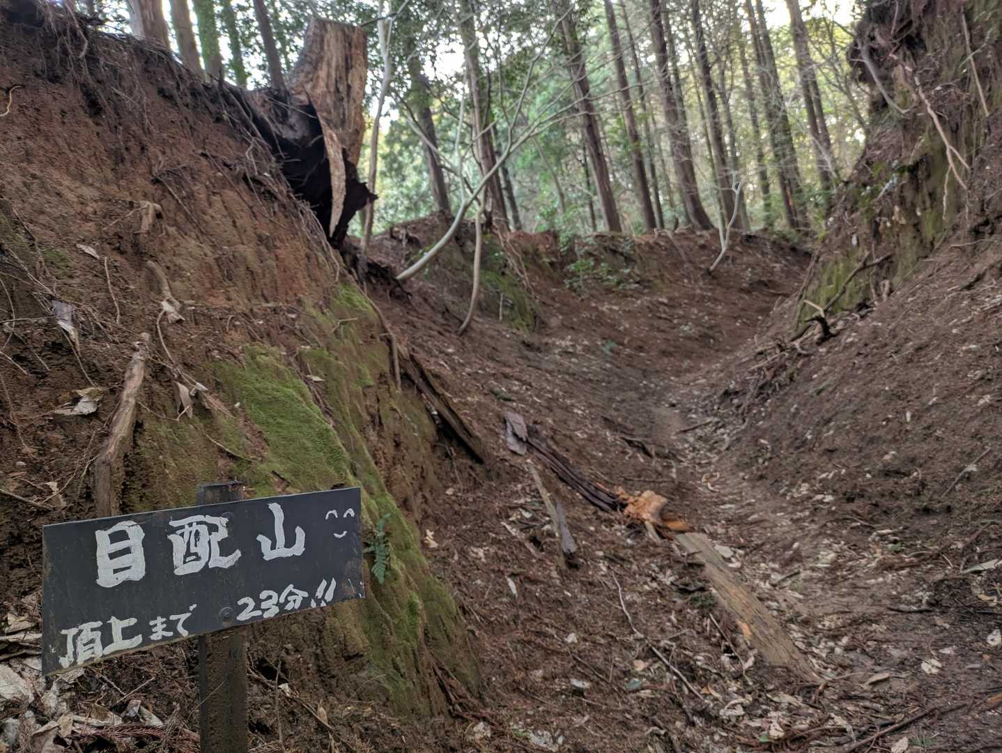 ところどころにゴルジュ状の削れた登山道が続く。
