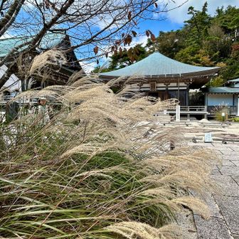 秋ですね〜🌾