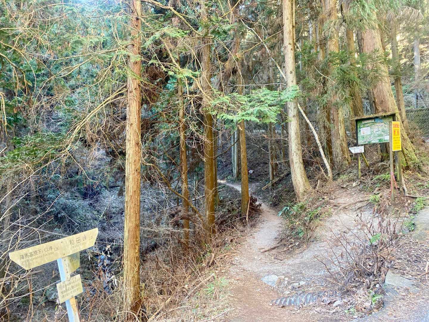 久々の陣馬山登山口⛰️