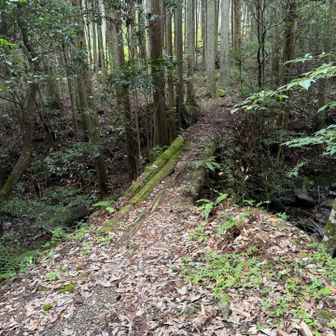 まあまあ怖めの橋😱