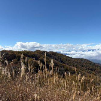 この晴れた景色の中を登りたかった