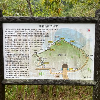 結構雨酷くなりました。おつかれ山でした！