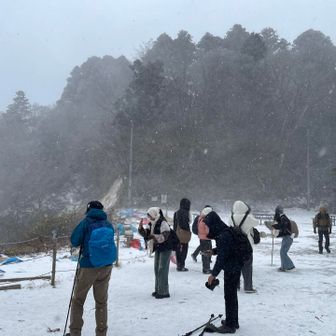 すごい吹雪いてきた🥶