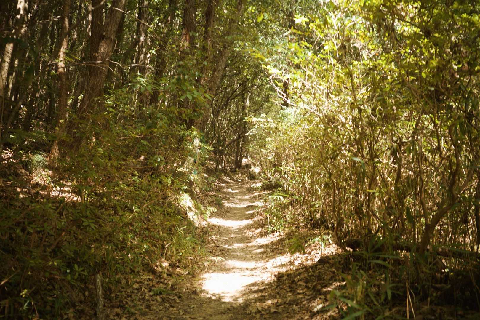 綺麗に整備されててすてき