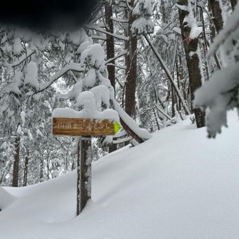 おー
もう少しかー
ここまで雪が深く、スマホも濡れてしまいゴーストタッチが酷い
首から下げていたタッチペンも雪深く雪が付いてしまいました
イライラしてボヤいていたら、まさかの登山者に会い気不味い