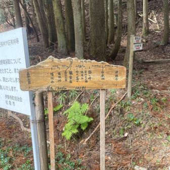 ここから再び山に入り
堀坂峠の高に向かいます

城ヶ峰⛰️に行く分岐を見落とし後から気がつく事になった🤣
戻るばり気も無かったので… 
残念🥲