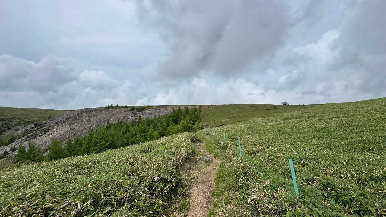 中央分水嶺トレイル（長門牧場〜白樺湖〜八島湿原〜三峰山〜美ヶ原）、2daysスルーハイク の写真 54
