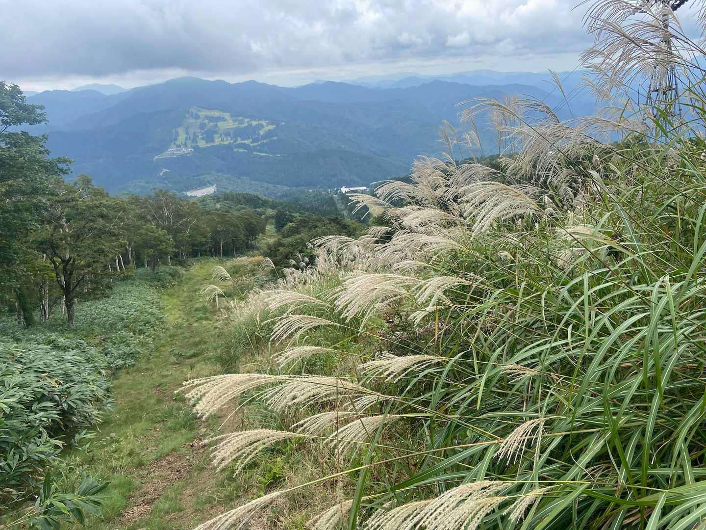 秋ですね