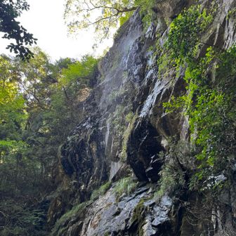 もう一度水浴びするため
滝に到着🤣
午後は光の当たり具合か、午前中ほど綺麗に見えず
滝は、光がさしこむ午前中がおすすめです☝️