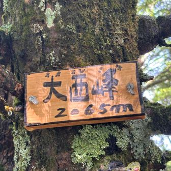 山友さん「1人は休んでるから行ってきて！」😅