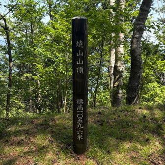 焼山