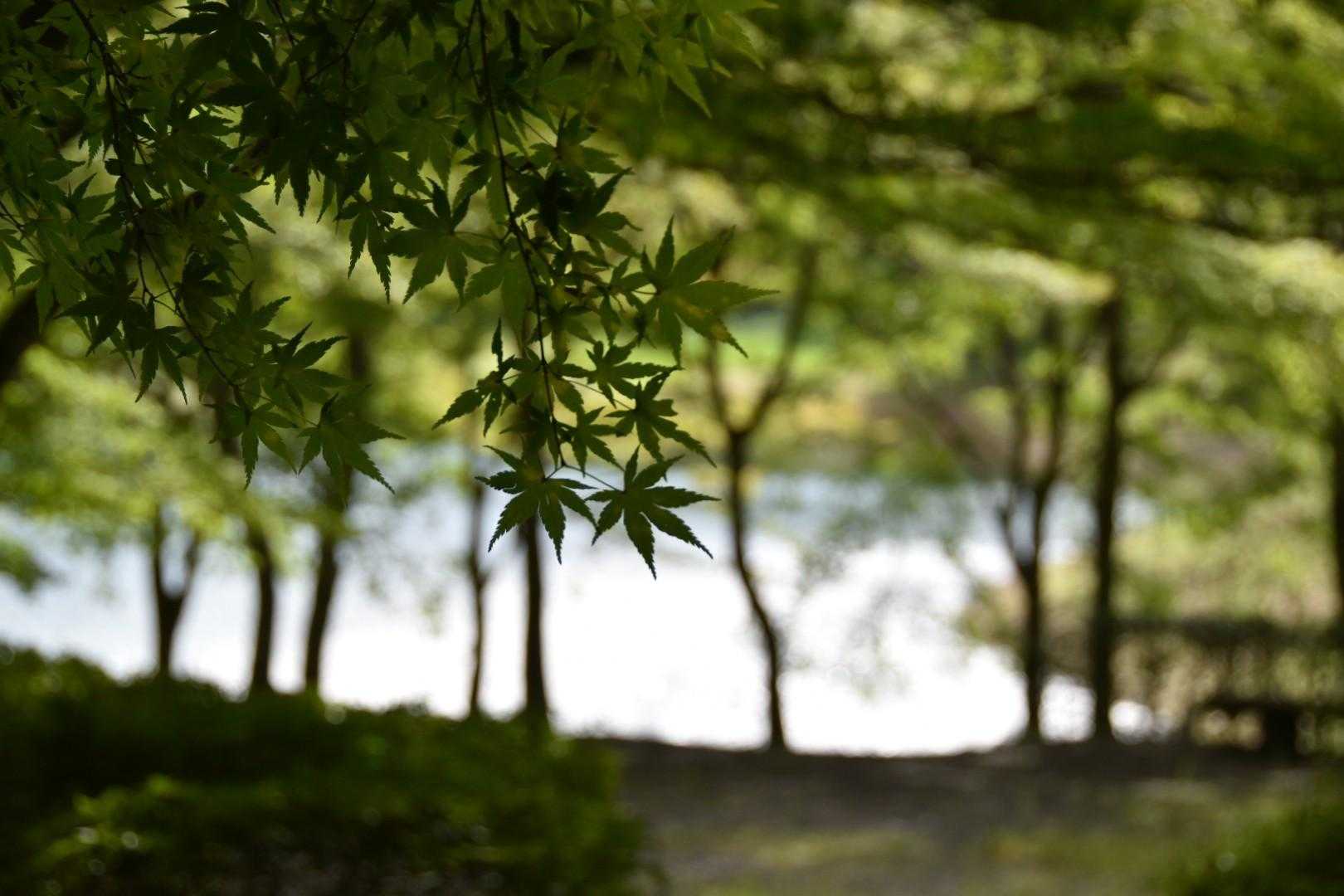 いい感じ