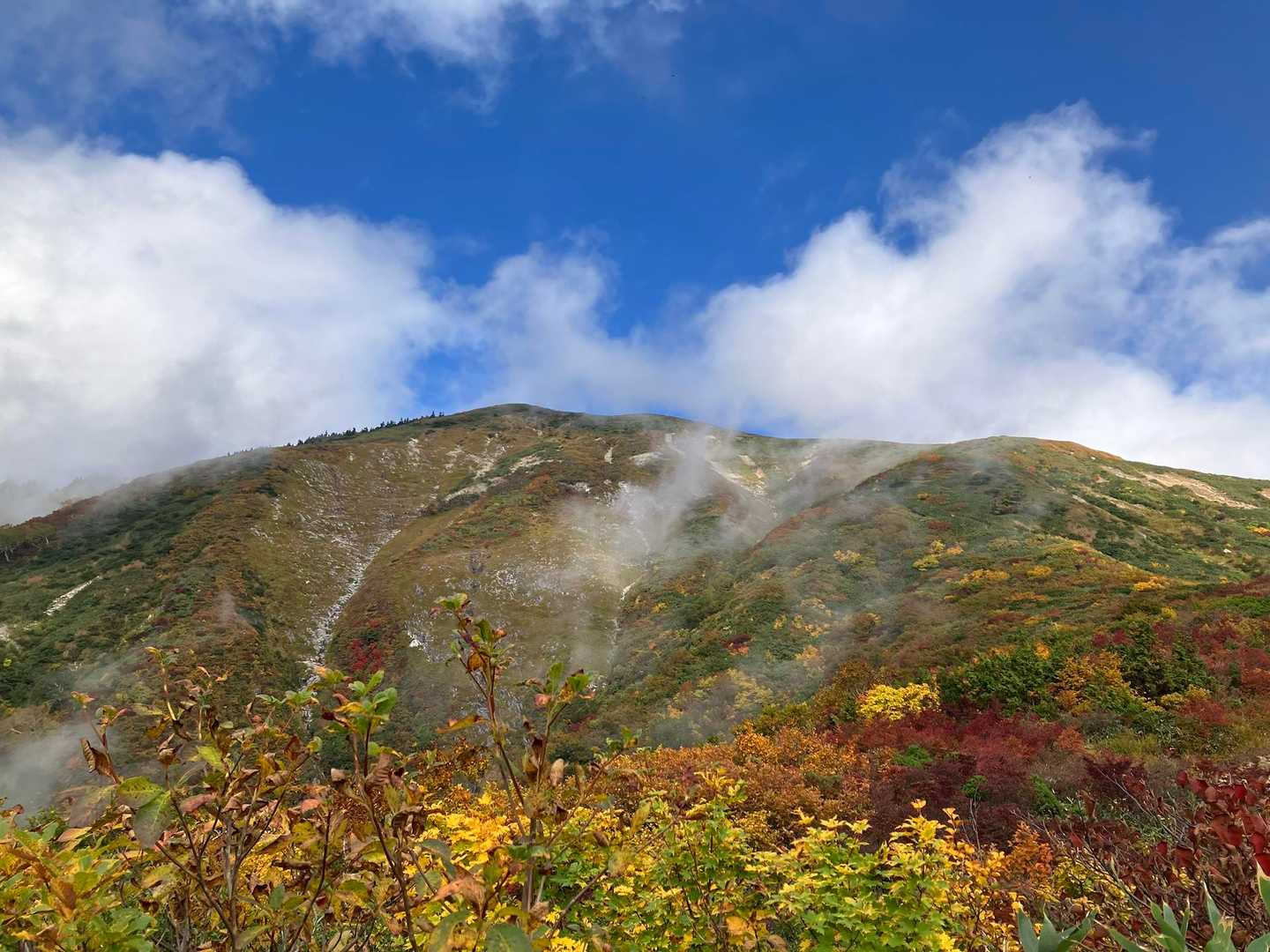 巻機山登山口-割引岳-巻機山-前巻機 周回コースの写真