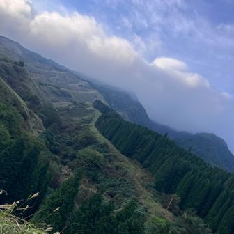 振り返り👀… まだ　山頂⛰️ｶﾞｽって見えない🫥…  ﾊｲｶｰさん　2組とすれ違ったが　ｶﾞｽが晴れるといいね👍