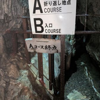 残念ながら探検コースBは次の機会に😔
