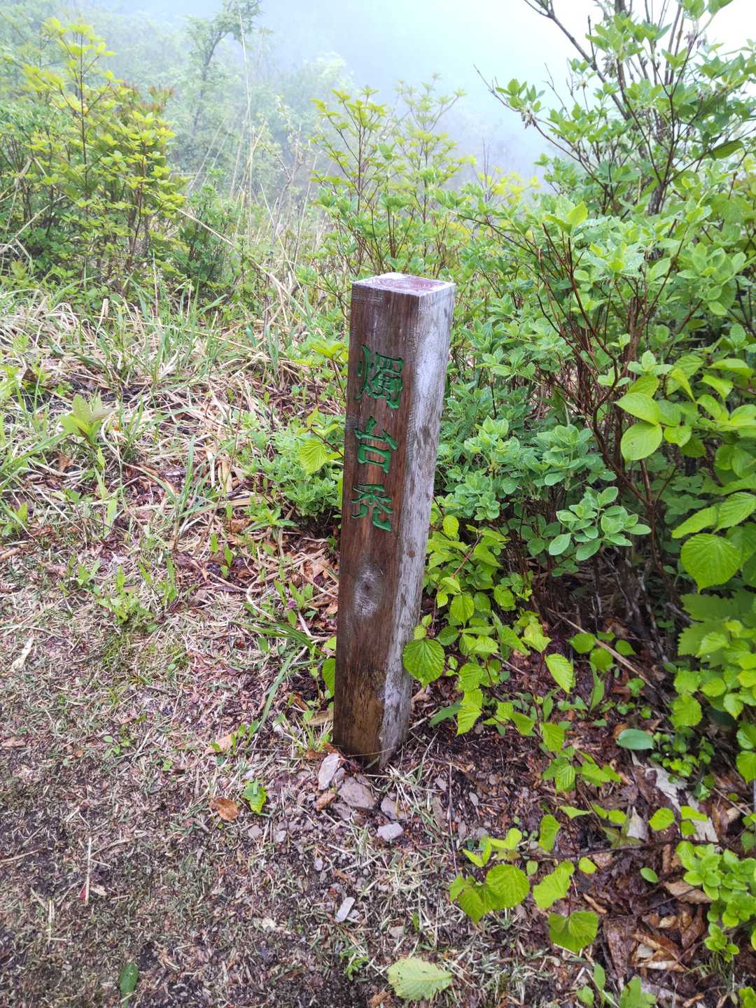 蝋台禿到着！意味が知りたい