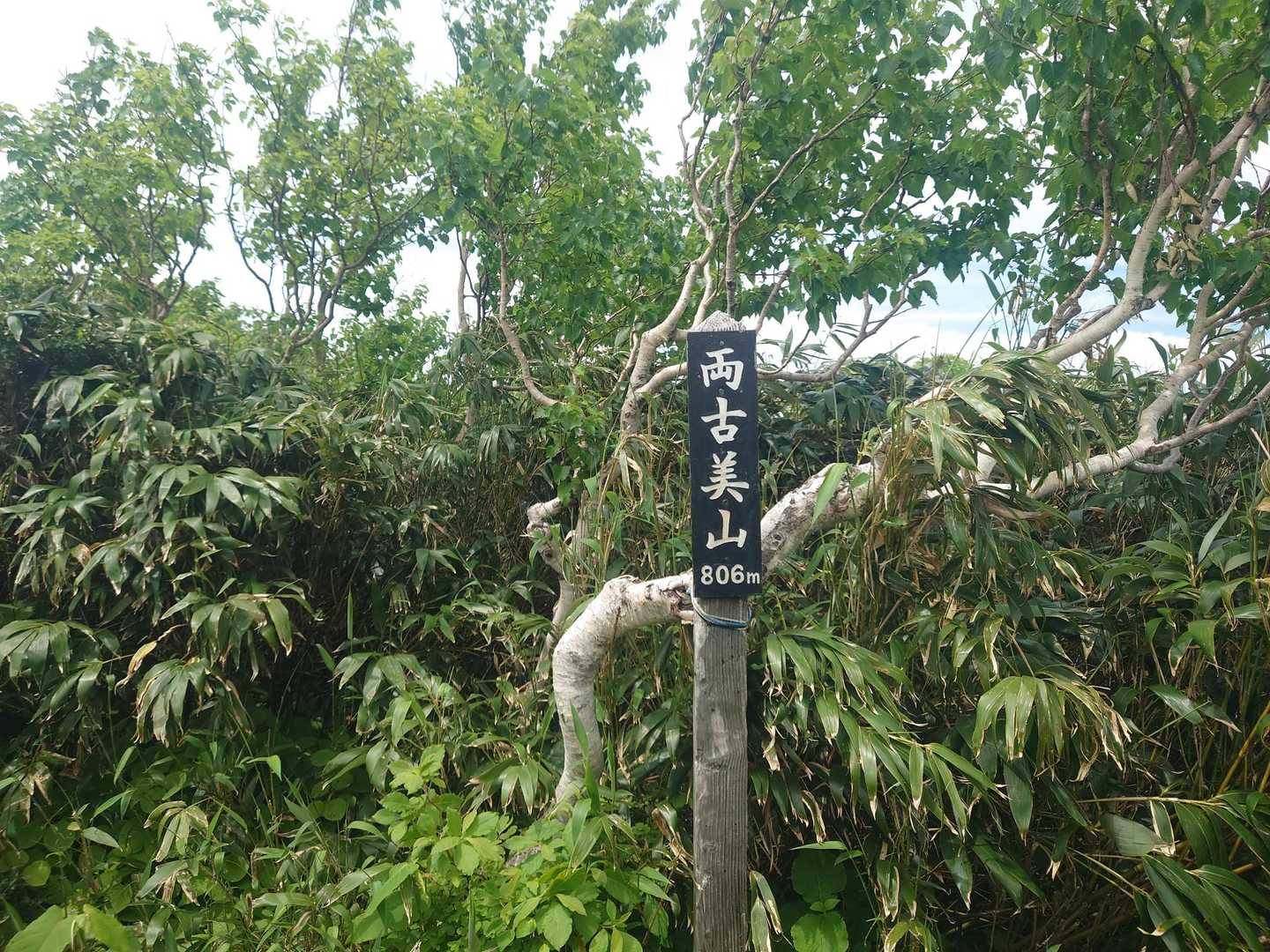 眺望のない山頂。
見晴台に向かいます。