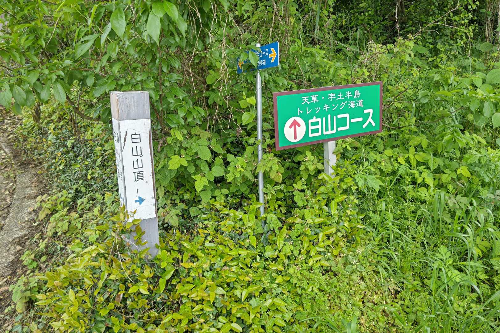 舗装路しばらく進むとこの案内板
右からまわる(舗装路)か、直進して近道(途中から足元土)か選べます🚶‍♀️🚶‍♂️