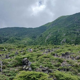 結構な人が坪庭を散策
道は良く整備されているのでとても歩き易い