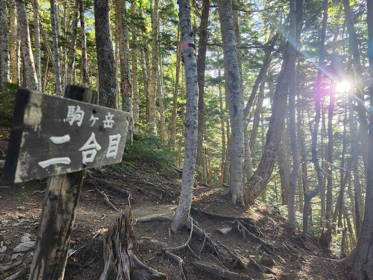 太陽が良い