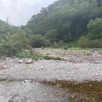 無事に戻ってきたよー