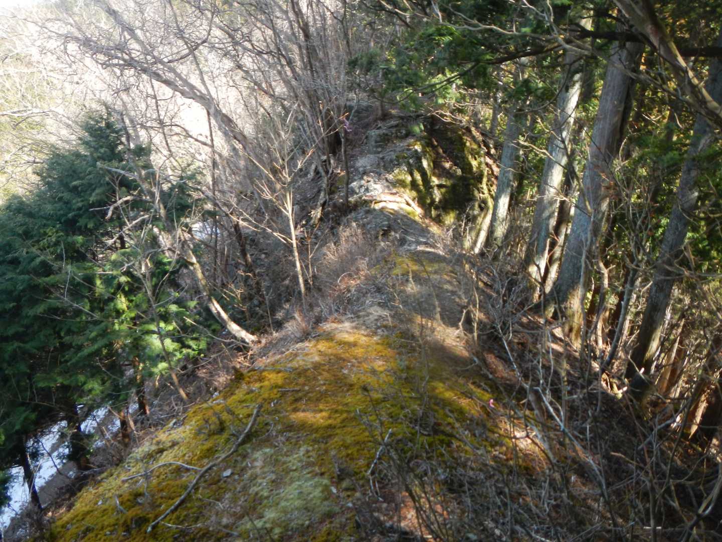 ヤセ尾根の下は林道が通ています