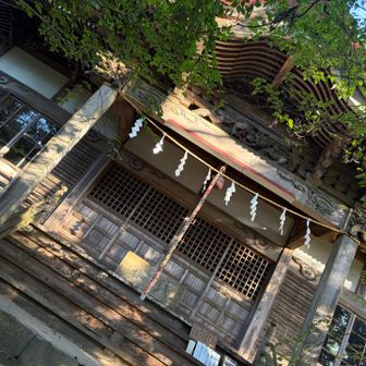 神社の裏手に山道ある。左側から進む。