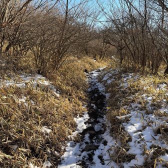 あとはグイグイ戻ります
