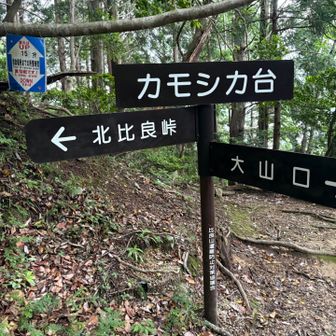ダケ道を下りて、やっとカモシカ台まできた
