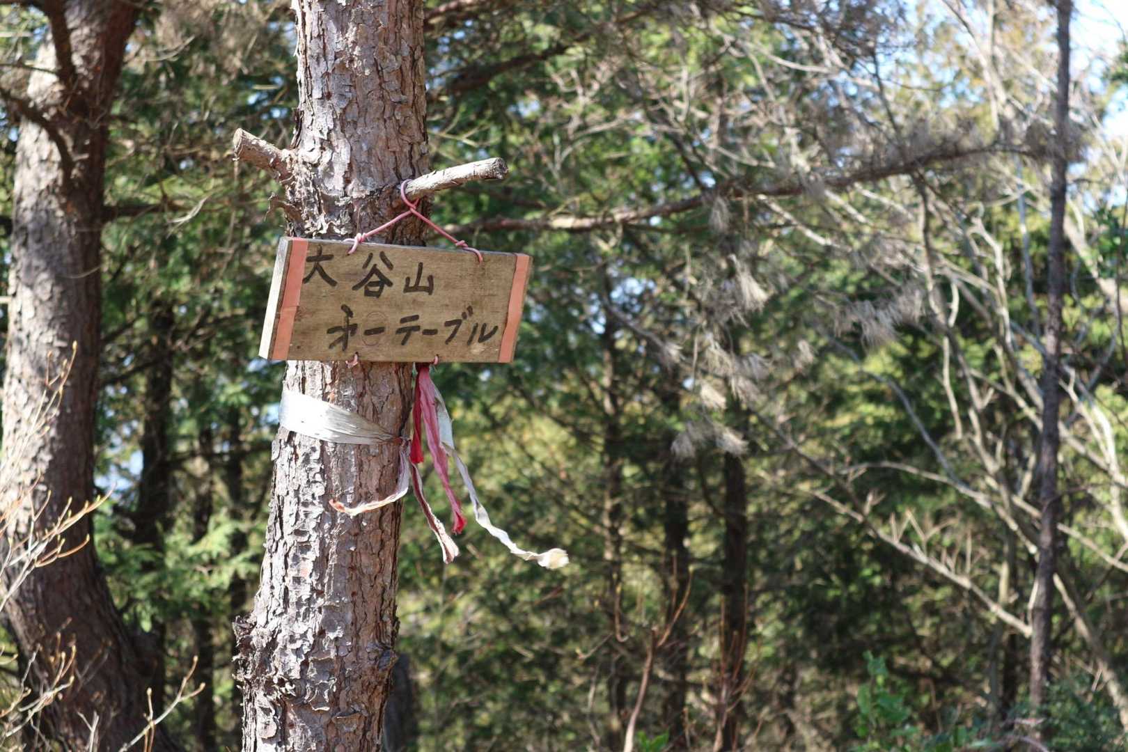 唐谷峠-大谷山-龍王山-金見山 周回コースの写真