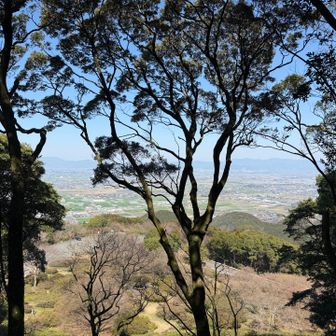 高良山山頂⛰️🎵