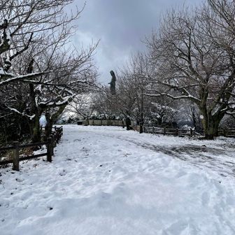 新年の雪と観音様