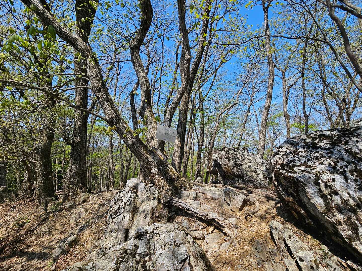 急登の後、ちょっと岩岩したところを登って

蔦岩山