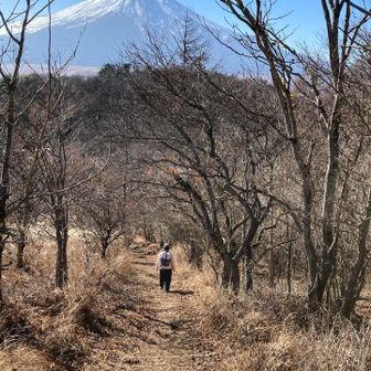 富士山を正面に見ながら歩く