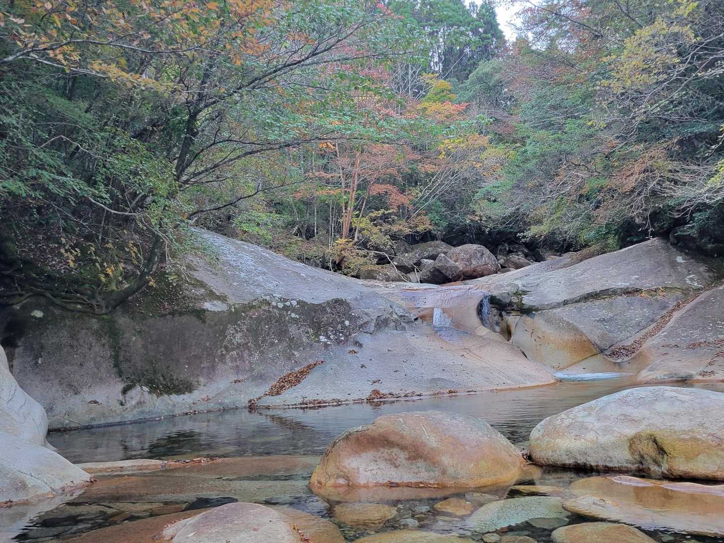 木山内岳 往復コースの写真