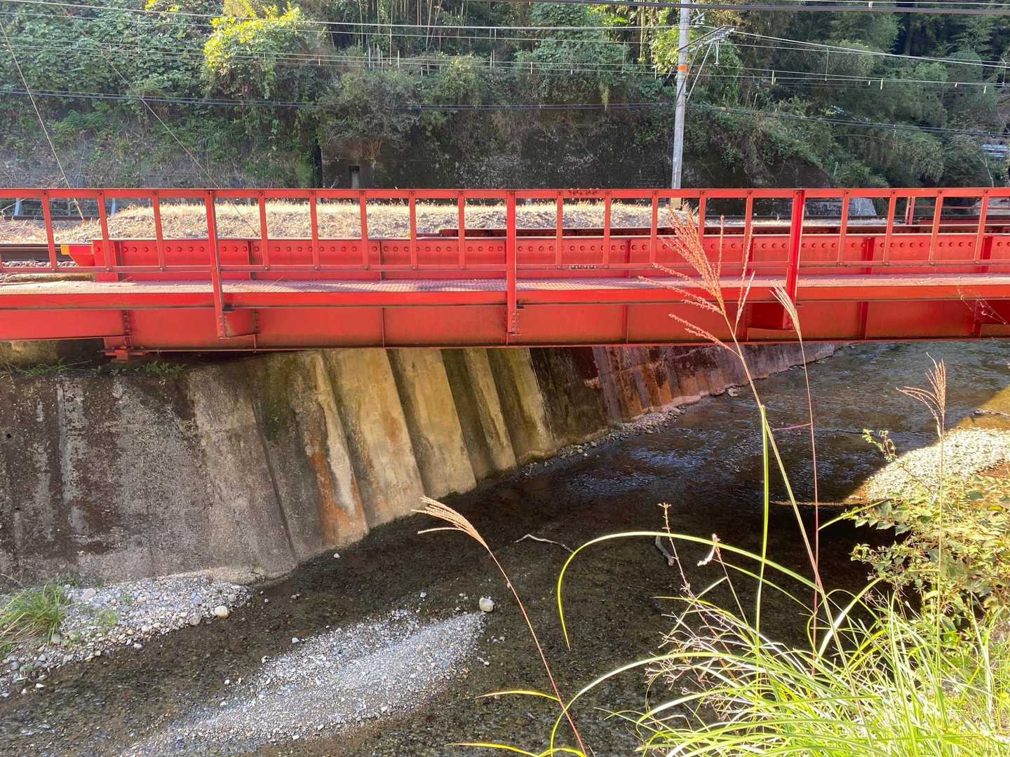 線路沿いにゆらゆら🌾