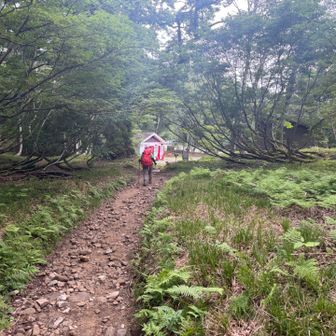 無事、折立登山口まで下山。太郎平から2時間半で下りてこれた。