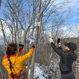 推し活中のケアちゃん