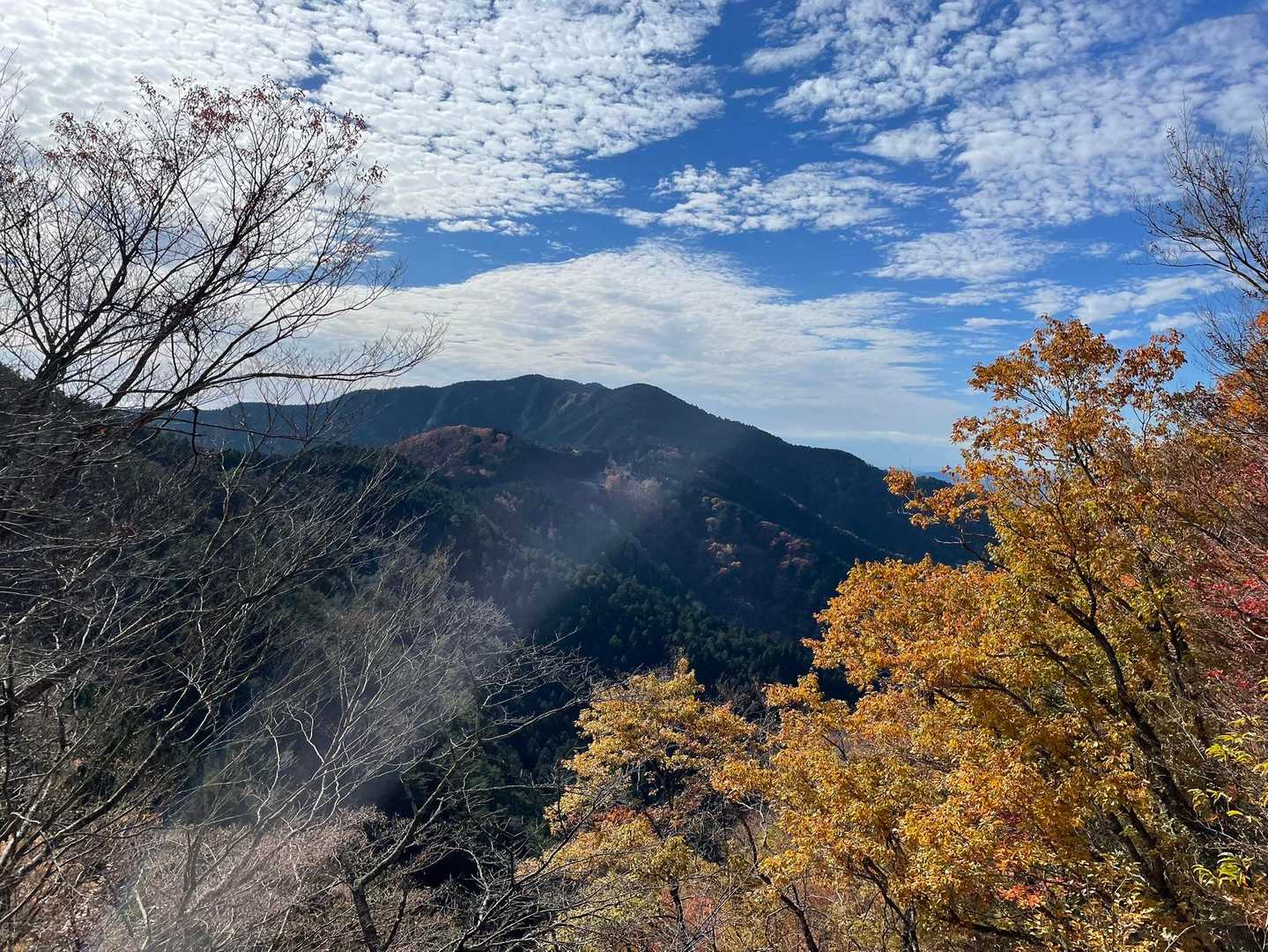 林道からムソレ山を振り返る