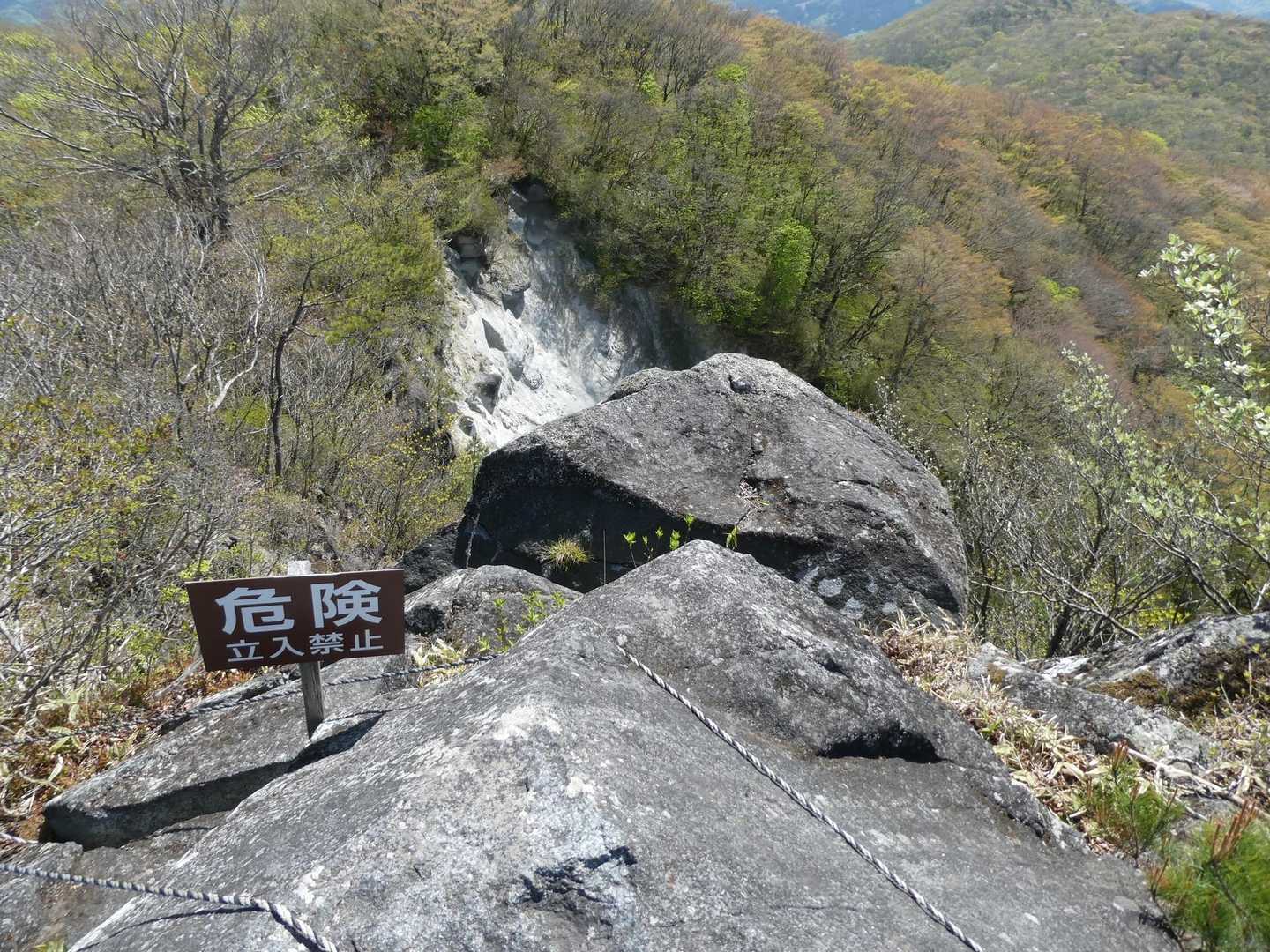 移ヶ岳 往復コースの写真