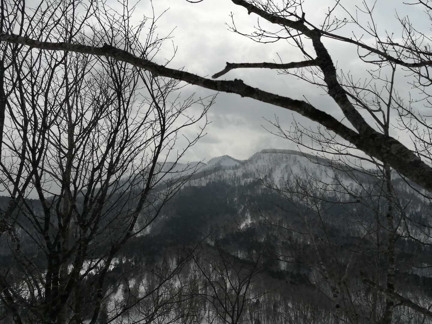 正面に見える札天山