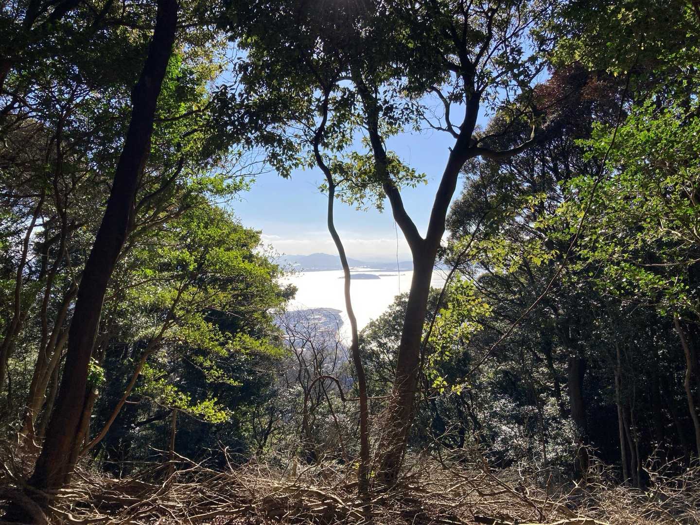 竜王山 往復コースの写真