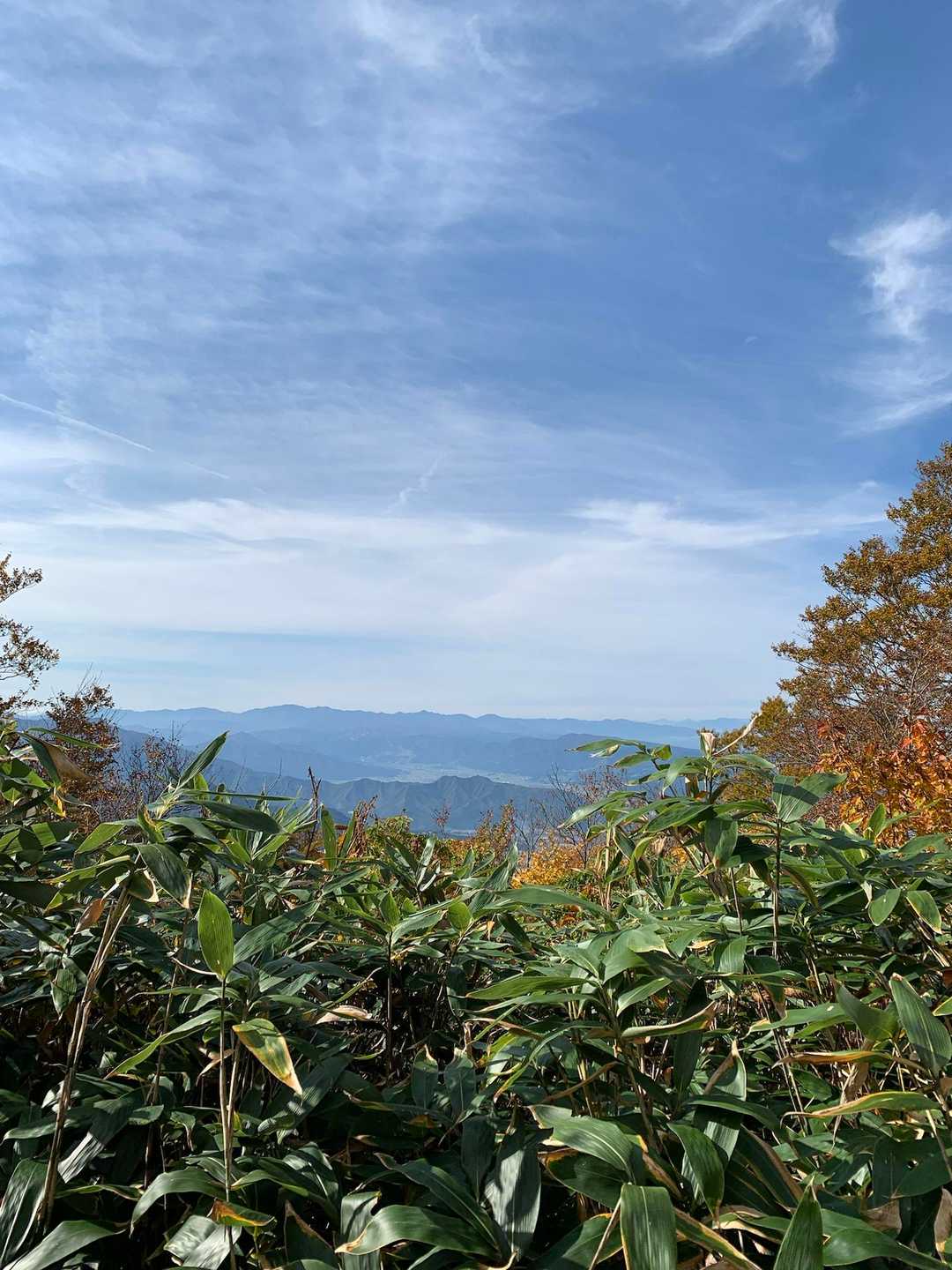 山頂駅-薬師岳 往復コースの写真